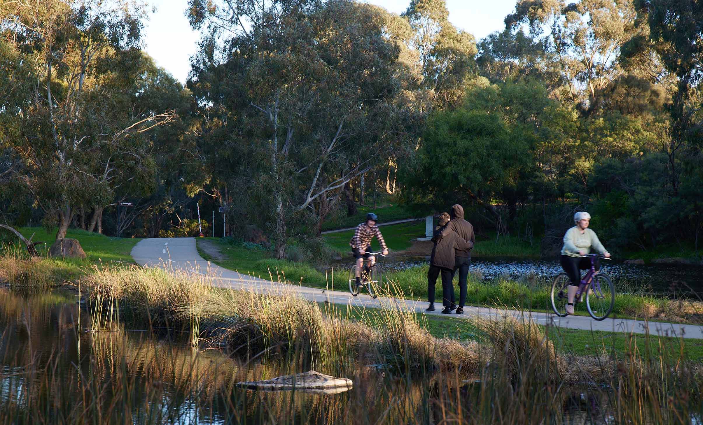 Local park setting with people walking and riding bikes